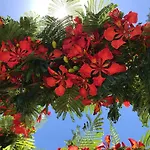Apartmán Flamboyant Adults Only Puerto del Carmen (Lanzarote)