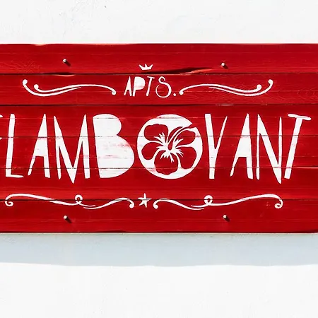 Flamboyant Adults Only Apartment