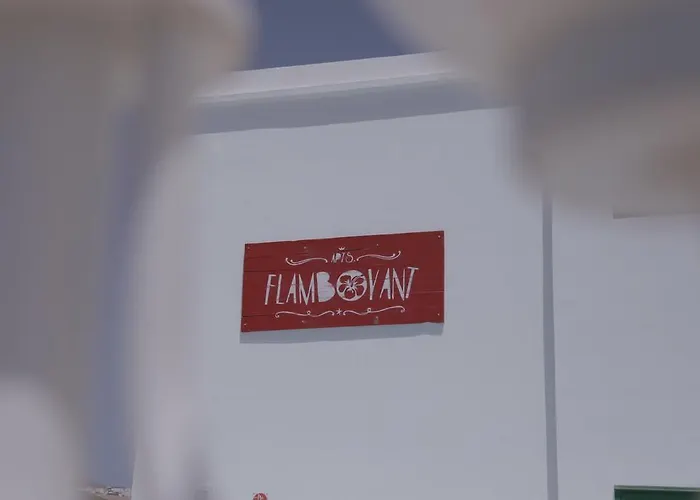 Flamboyant Adults Only