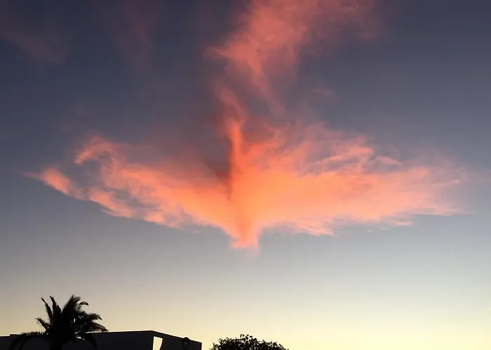 Flamboyant Adults Only