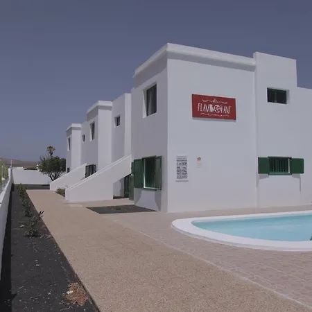 Flamboyant Adults Only