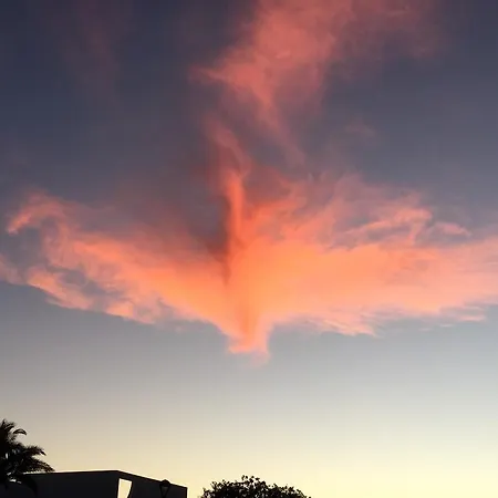 Flamboyant Adults Only