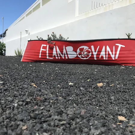 Flamboyant Adults Only * Puerto del Carmen (Lanzarote)