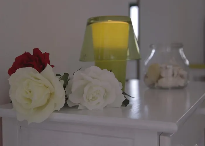 Appartement Flamboyant Adults Only *