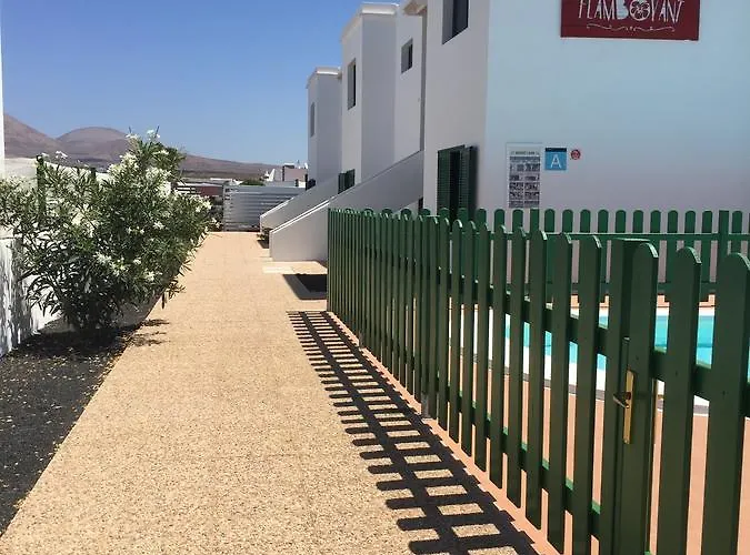 Flamboyant Adults Only *