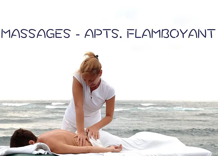 شقة Flamboyant Adults Only بويرتو ذيل كارمين