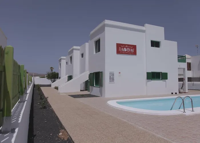 Flamboyant Adults Only